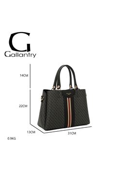 Picture of HANDBAG